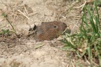 Sommerfest Baumberge 2010 286